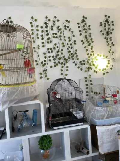 Зоомагазин Феникс ,Pet Shop