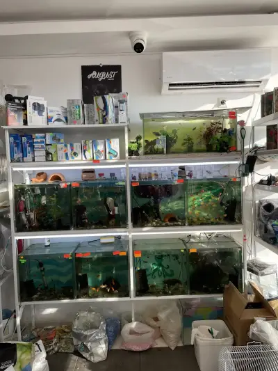 Зоомагазин Феникс ,Pet Shop