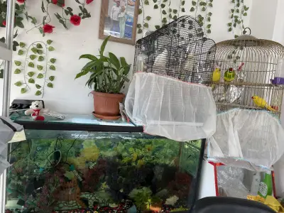 Зоомагазин Феникс ,Pet Shop
