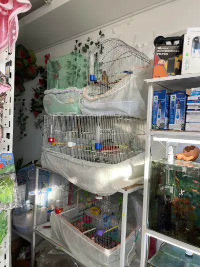 Зоомагазин Феникс ,Pet Shop