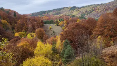 Панорамна вишка "Лиса Гора"