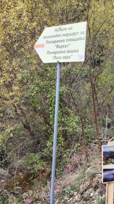 Панорамна вишка "Лиса Гора"