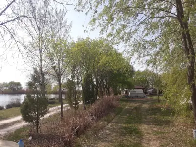 Кисимови дупки