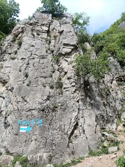 Панорамна площадка "Куката"