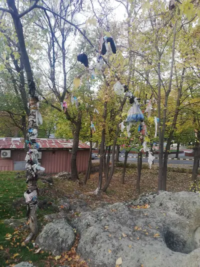 Стъпката, Богородична стъпка