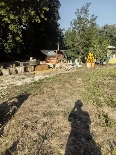 Корените