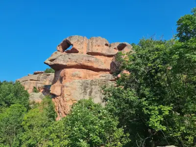 Dino rock