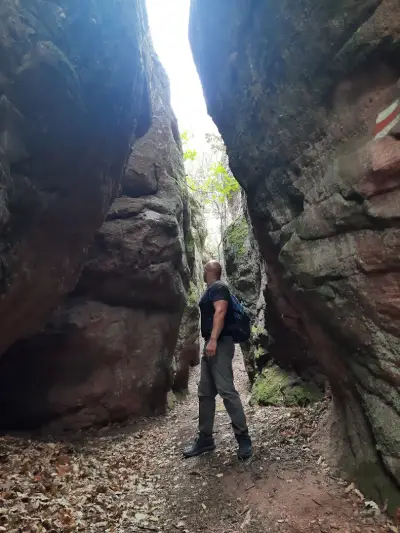 Dino rock
