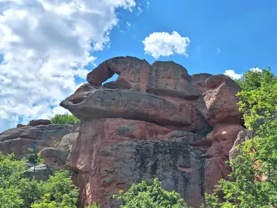 Dino rock