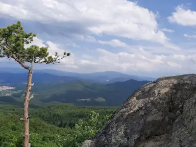 Славееви скали