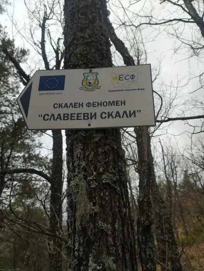 Славееви скали