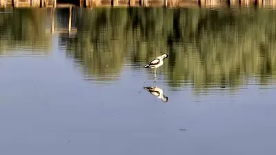 Безплатни Кални Бани