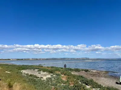 Безплатни Кални Бани