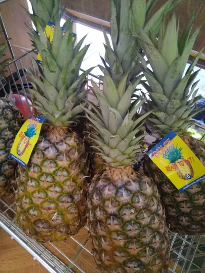 Fruit Direct
