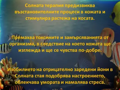 "SaltPro" Солна стая Кърджали