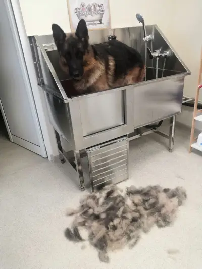 Груминг салон /спа /хотел: Pet Land “Grooming & Spa Hotel”