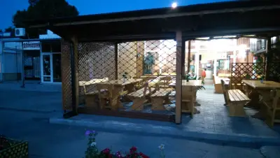 Чайка