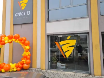 Gyros13