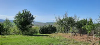 НУ Св. св. Кирил и Методий - Долни Дъбник
