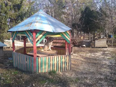 Приют за безстопанствени животни