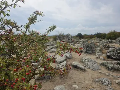 Побити камъни
