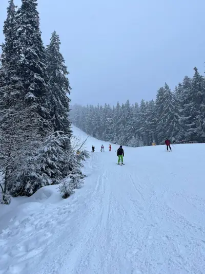 Бъндеришка поляна