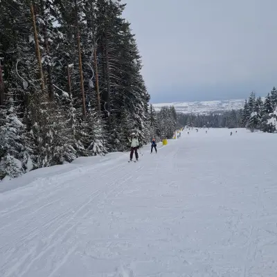 Бъндеришка поляна