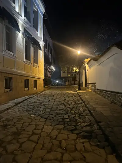 Ламартинова къща