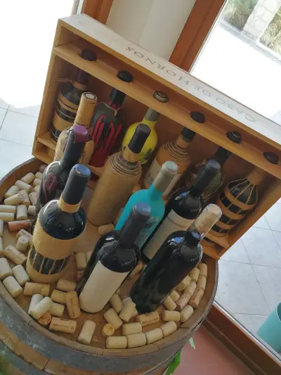 ВИНАРНА МАЛКАТА ЗВЕЗДА