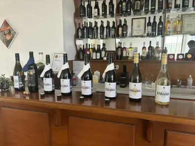 ВИНАРНА МАЛКАТА ЗВЕЗДА