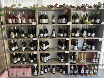 Бургозоне Вино Магазин - Burgozone wine shop