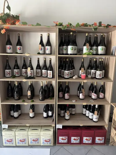 Бургозоне Вино Магазин - Burgozone wine shop