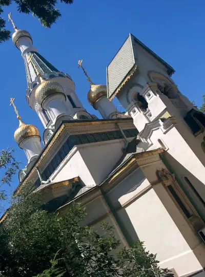 Вековна сива топола