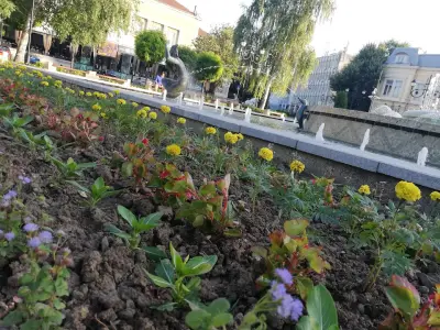 Детска площадка
