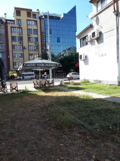 Лев Инс