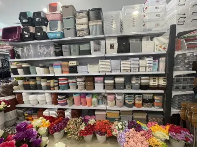 Family Shop by Festiko