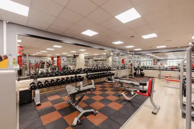 King Коng GYM
