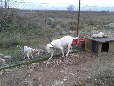 Ранчо ТУГАН