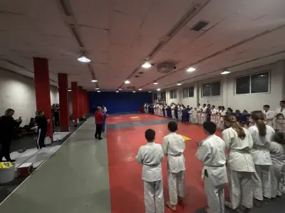 Judo club Arena sport