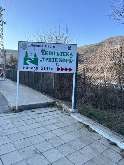 Спортист (Своге)