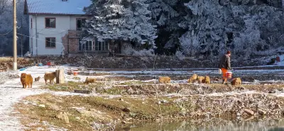 Комплекс Рибарник Годеч