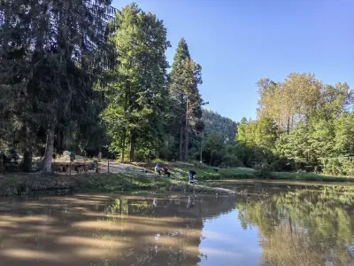 Комплекс Рибарник Годеч