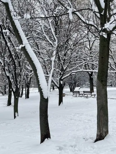 Фитнес на открито