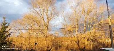 Ник Петрол