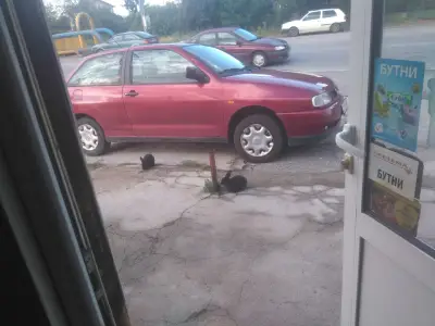 Бет Петрол