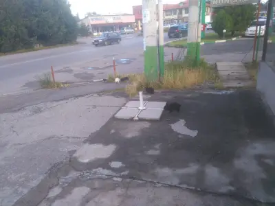 Бет Петрол