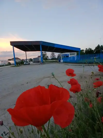 Бензиностанция "Гининтранс"