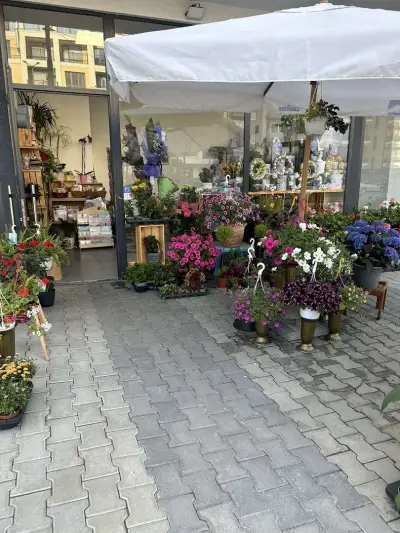 Ателие за цветя ViS Flowers