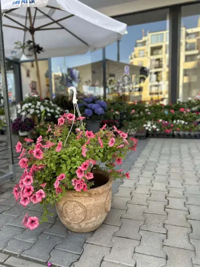 Ателие за цветя ViS Flowers