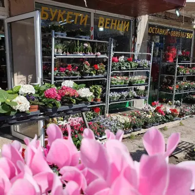 магазин за цветя dessiflorist